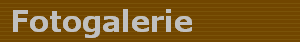 Fotogalerie